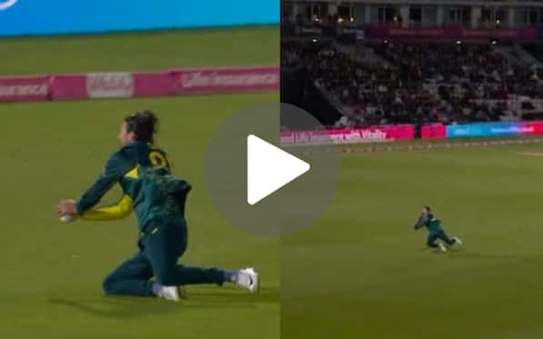 [Watch] Tim David Stuns England With An Unbelievable Backward Running Catch Of Cox
